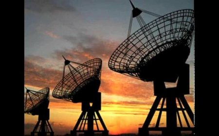 ‘Excessive’ Indian content material prices Pakistan’s 10 channels 1 crore