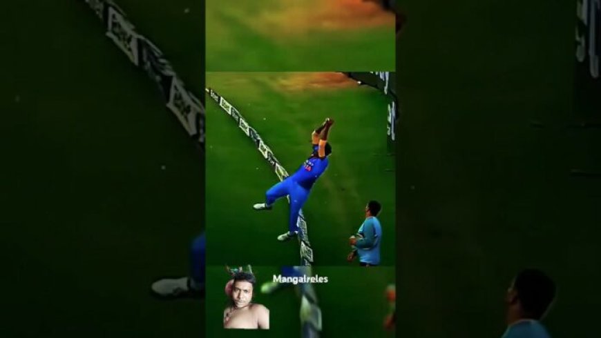 unbelievable cricket by Indian participant 🔥#cricketlover #indian #cricketshorts #viralplayer #content material