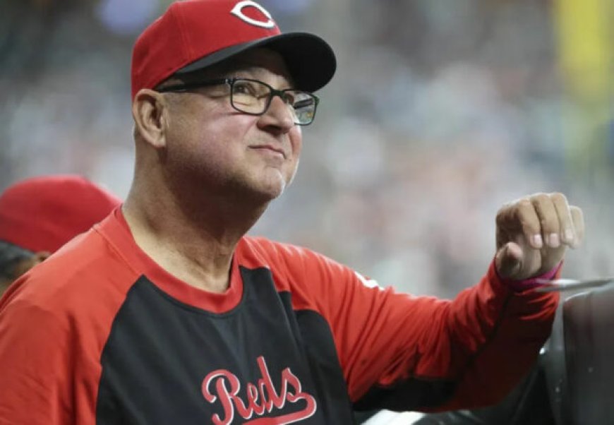 Best MLB Bets Today: Top Picks & Props for Wednesday, May twenty eighth